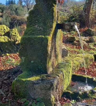 Σπίτι διακοπών A Casa Do Buxo