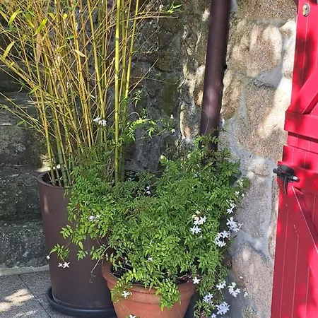 A Casa Do Buxo Σπίτι διακοπών Nogueira De Ramuin