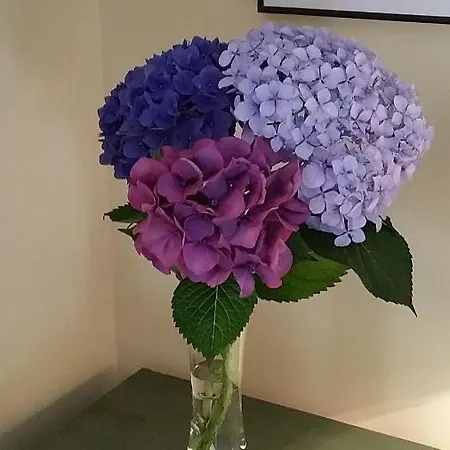 A Casa Do Buxo Casa vacanze