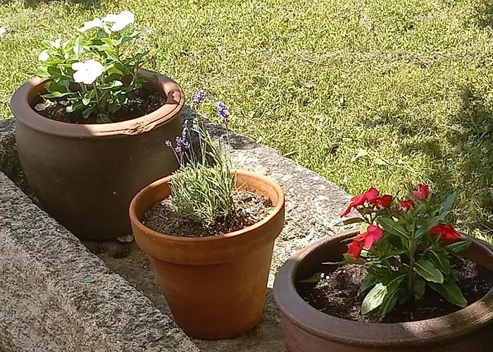 Σπίτι διακοπών A Casa Do Buxo