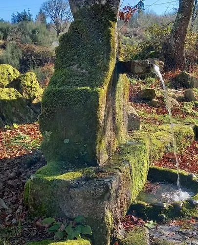 Σπίτι διακοπών A Casa Do Buxo
