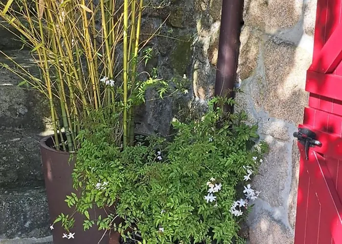 A Casa Do Buxo Σπίτι διακοπών Nogueira De Ramuin