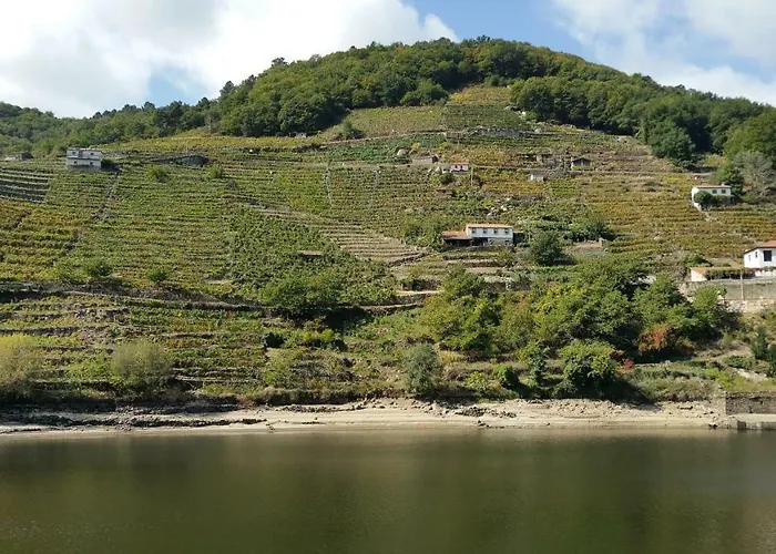 A Casa Do Buxo Dom wakacyjny