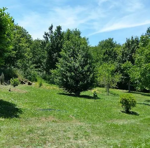 A Casa Do Buxo * Nogueira De Ramuin